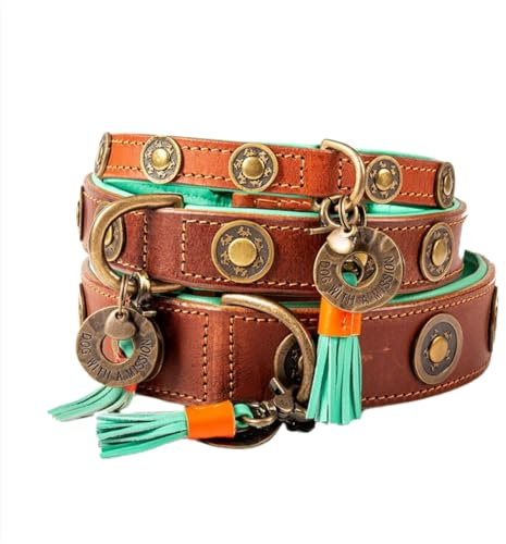 Dog with a Mission - Hundehalsband S | Braunes Leder, Türkis | Hübsch, Boho, Ethno, Urban, Hippie | Mittelgroße Hunde | Handgemacht | Modisch und Bunt | Weichem Echtes Leder | Luxe | 2,5 cm Breit