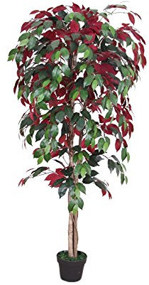 AMERIQUE Ficus Capensia-Baum, Kunstseide, mit einführbarem Topf, fühlt Sich echt an, super Qualität, Grün & Burgunderrot
