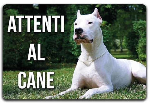 Cartello Segnale Attenti al Cane in Allumnio composito 3mm (20 cm x 15 cm), Dogo Argentino