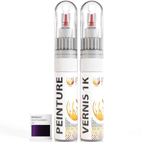 ipixline Kit Retouche Peinture Carrosserie Voiture - Stylo Correcteur Peinture Auto 30 ml, Vernis Brillant 1k 30 ml - Compatible avec Renault - Violet Blueberry LNJ