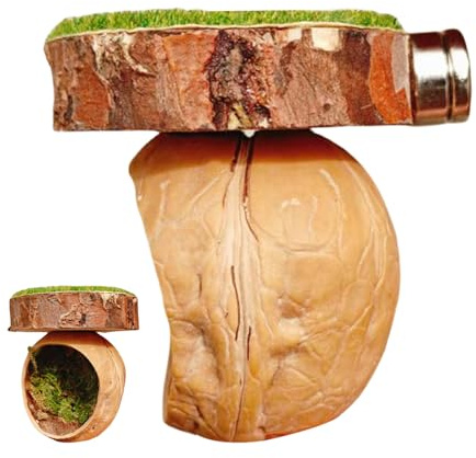 Springspinnen Versteck Terrarium Zubehör 4x6cm Magnethaus Für Amphibien Reptilien Gottesanbeterin Kleintiere Vogelspinne Nest Naturalistisches Haus Für Gottesanbeterin Vogelspinne Kleintierhaus