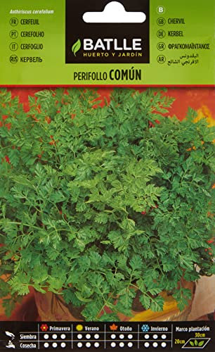 Graines aromatiques de Batlle - Cerfeuil (12g)