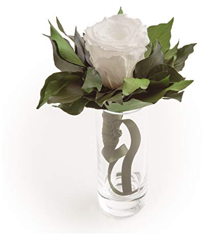Blumenstrauß langhaltend Ewige Rose konserviert mit Glasvase haltbar 3 Jahre von ROSEMARIE SCHULZ GmbH Heidelberg (Weiß)