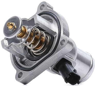 ERA Thermostat + Dichtung