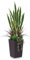 VeriNatural Kunstpflanze Bogenhanf 120cm–Künstliche Pflanzen Groß Wie Echt Sansevieria,UV-beständig–Künstlicher Baum im Brauner Topf–Deko Plastik Zimmerpflanzen für Wohnzimmer Balkon Büro,VN152