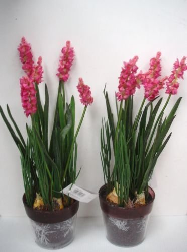 South Eastern Horticultural Set x 2 12in Potted Pink Lavender Bushes Artificial Silk Flowers Plants !