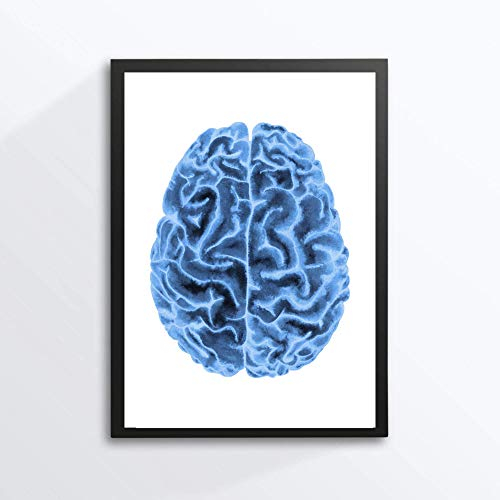 Din A4 Kunstdruck ohne Rahmen - Anatomie - Menschliches Gehirn - Hirn Mensch Neurologie Röntgen - Stil X-Ray Medizin Arzt Aquarell Druck Poster Bild