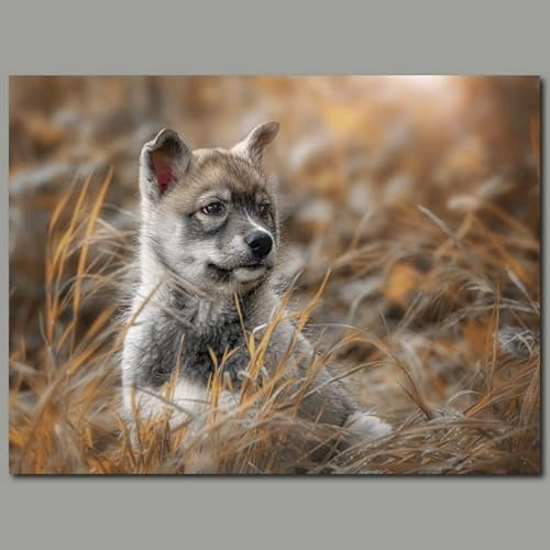 raxxa | Siberian Husky | Poster 40 x 30 cm / 12 x 2 in.
