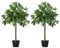 Outsunny 2 Plantas Artificiales de 90 cm de Altura Árboles de Laurel Decorativos con Maceta para Hogar Salón Uso en Interiores Verde