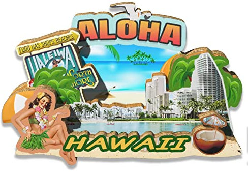 Orlybar USA Hawaii Magnet Kühlschrankmagnet Holz 3D Sehenswürdigkeiten Reise Sammlerstück Souvenirs Dekoration handgefertigt