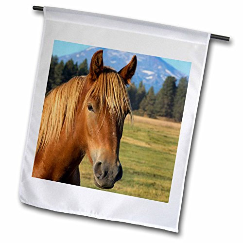 3dRose Oregon Three Sisters Cascade Range Horse US38 LEN0017 Lisa S Engelbrecht Gartenflagge, 30,5 x 45,7 cm (12 x 18 Zoll)