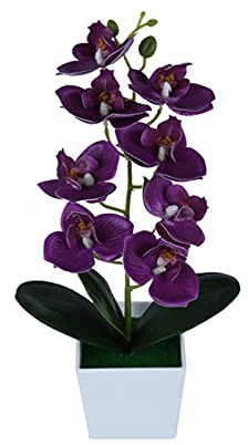 ohfruit Künstliche Pflanzen, künstliche Blume, bunte Farben, PVC, dekorativ, breite Anwendung, Schmetterlings-Orchidee, für Hochzeit, Violett