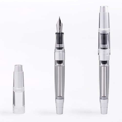 Natami Fountain Pen Fine Nib Transparent Clear Ink Platinum Calligraphy Gift Case (Silver)