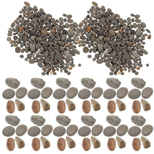jojofuny Pierres Décoratives Naturelles Roche Réaliste et Décoration Soignée de 50g pour Aquarium et Table de Sable pour Mini Paysage