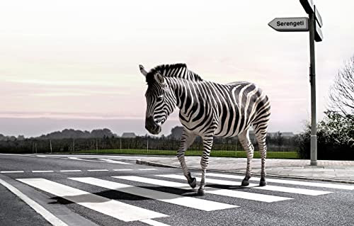 YANCONG Jigsaw Puzzles 1000 Pieces For Adults And Kids Zebra Crossing The Sidewalk Wooden Jigsaw Puzzles For Home Decoration 75X50Cm