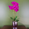 Leaf 50cm Phalaenopsis Orchid Artificial - Dark Pink Silver