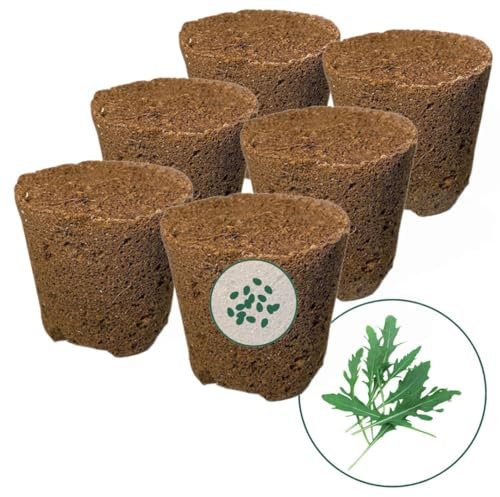Everleaf I 6er Rucola I Substratkapseln für würzigen Rucola I Perfekt für Anzuchtsysteme I Ideal für Küche & Garten I Hohe Keimrate I Nachhaltig & ganzjährig verfügbar I Einfach zu pflanzen