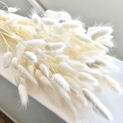 120 Stück Weiße getrocknete Pampas Gras Dekor 43cm Pampas Blumen, trockene Blumen für Dekoration, Pampas Gras in Schütte hohe, weiße Hasenschwänze getrocknete Blumen für Boho Hochzeit