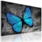 B&D XXL - Wandbilder blauer Schmetterling 60x40 cm 1 tlg - Wand Deko Vlies Leinwand Bilder Groß Wanddeko Wohnzimmer Schlafzimmer Kunstdrucke - Tiere Abstrakt grau 020116-33