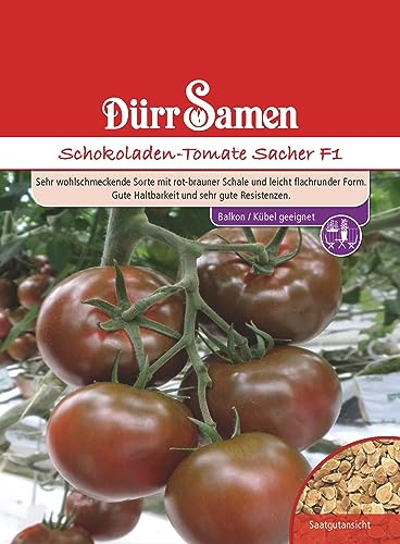 Schwarze Tomaten Samen Schokoladen Tomate Tomatensamen Sacher ca 6 Korn Saatgut Robust Ertragreich Balkon Garten Hochbeet Kübel Dürr Samen