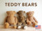 Teddybär Kalender 2024