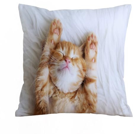 AELKSP Kissenbezug Kissenhülle Haus Dekorativ Für Jungen/Mädchen Wohnzimmer Schlafzimmer Sofa Stuhl Kissenbezüge,Niedliches kleines rotes Kätzchen schläft auf Einer weißen Felldecke,45x45 cm
