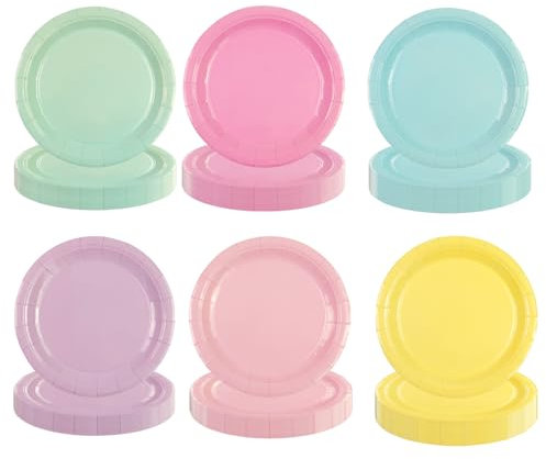 HiEnjoin 48 Stück Bunt Party Pappteller, Einweg Salatteller Pappteller in Regenbogenfarben, Partyzubehör, Geschirr für Geburtstag, Abendessen, Hochzeit