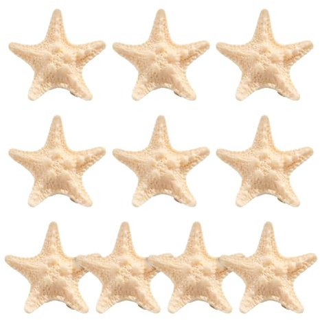 Kleine Seestern-Haarspangen, Kunstharz, Seestern, Haarspangen, Meerjungfrau-Kostüm, Haarnadeln, niedlich, Ozean, Strand, Haarnadeln, Seestern, Haarschmuck für Halloween, Cosplay, 10 Stück