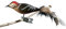 Birds of Glass® Glass Bird, Spotted Woodpecker with Natural Feather, Glass Decoration Made in Germany from our Own Production, Decorative Bird with Clip, Glass Bird, Real Lauscha Christmas Tree