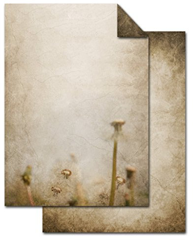 Logbuch-Verlag 50 Blatt Briefpapier Pusteblume vintage alt antik DIN A4 100g beidseitig bedruckt beige natur floral Löwenzahn Motv Papier