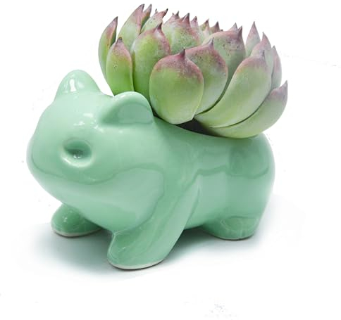 Pot de Fleurs en céramique pour décoration de la Maison en céramique Vert