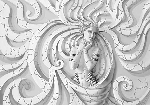 wandmotiv24 Fototapete Grau Fantasy Stein Abstrakt, XL 350 x 245 cm - 7 Teile, Wanddeko, Wandbild, Wandtapete, Vintage, Frau, Ornament M3629