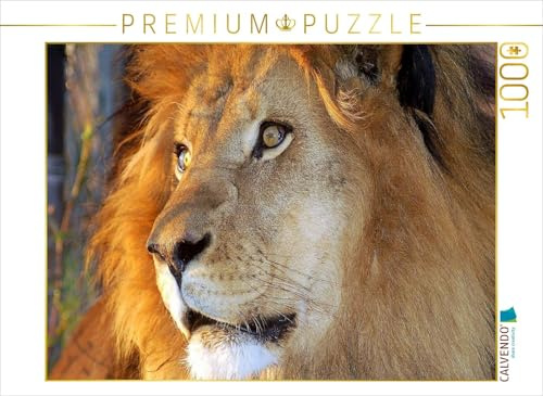 Puzzle · Löwe | Afrika Namibia · 1000 Teile · Lege-Größe 64 × 48 cm · CALVENDO Puzzle