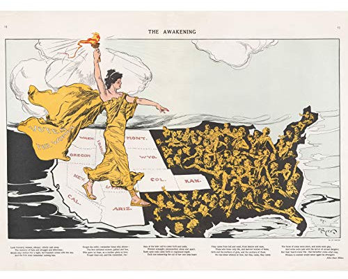 Mayer Awakening Votes Women Liberty Map Large Wall Art Poster Print Thick Paper 45,7 x 61 cm