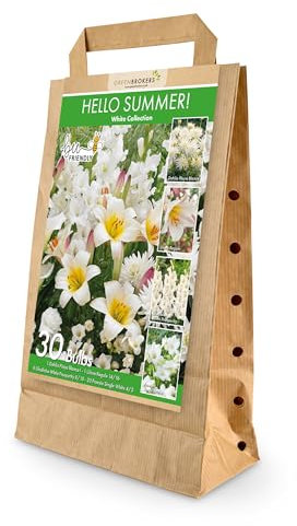 30 Hello Summer White Summer Bulb Collection | White Bulb Varieties | Eco Packaging | Plant Now Ready to Bloom in Summer