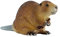 Bullyland 64456 - Spielfigur Biber, ca. 5 cm große Tierfigur, detailgetreu, PVC-frei, ideal als kleines Geschenk für Kinder ab 3 Jahren