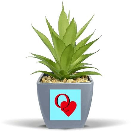 no/no Love Queen Heart Q Poker Künstliche Ananas-Blumentopf-Vase, Mini-Dekor