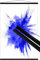 Close Up Kunststoff Posterleisten schwarz (51 cm) Poster-Aufhänger, Posterschienen, Plakatleisten, Klemmschienen (20 inch)