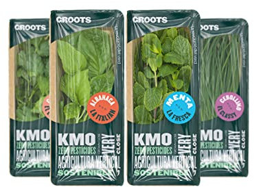 Groots | Pack de 4 Plantas Aromáticas Naturales | Albahaca Fresca + Cilantro Fresco + Cebollino Fresco + Menta Fresca | Kit de Hierbas Ideal para Cocinar