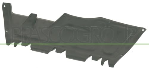 Prasco AD0161904 Framed Protector for Cars