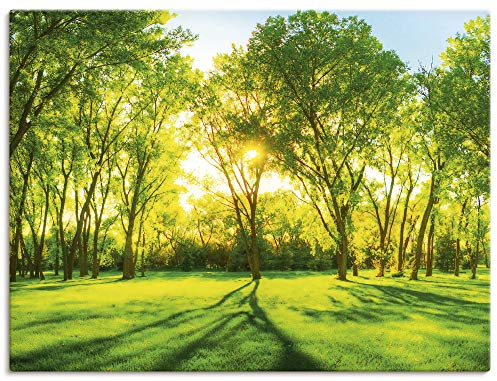 ARTLAND Wanddeko Leinwand Bilder Wandbild 80x60 cm Natur Wald Sonne Landschaft Frühling Wiese Bäume Grün T2OP