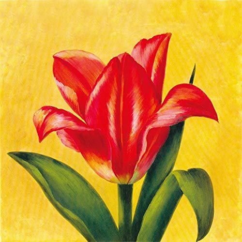 GDNUCLKE Peindre Par Nombre,Kit Peinture,Toile Peinture Numero,Peinture Sur Numéro Adulte,Peinture Numero D Art,Peinture Numero Chat-Peinture À L Huile De Tulipe Rouge