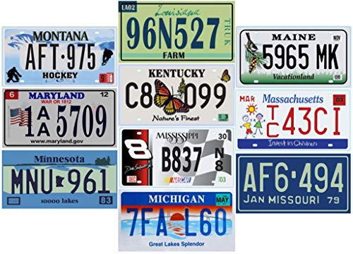 - Juego de 10 Placas DE Licencia de 10 Estados Diferentes de EE. UU. - Réplica de Placas de automóvil de Metal Reales de EE. UU.
