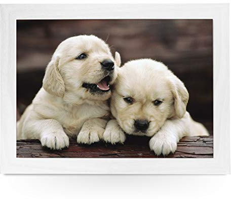 yoosh Portable Lap Desk Tray (Golden Retriever Puppies) Handmade Wooden Frame, Beanbag Cushioned Bottom | Computers, Laptops, Meals, Food | L0002 White