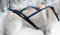 Northern Howl X-Back Zuggeschirr Fuer Bike-, Skijoring, Dogscooting, Schlitten, Blaue Pfoten (S)