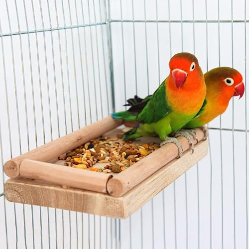 Bird Perch Stand, Parrot Platform Toy, Natural Wooden Bird Cage Stand Pole Accessories, Paw Grinding Standing Climbing Perch for Birds Parrots Rats Parakeets Budgies Love Birds 20 × 10 CM
