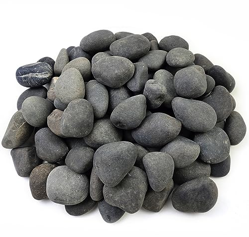 FANTIAN 18 kg natürliche schwarze Felsen, mexikanische Strandkiesel, 5,1 - 7,6 cm, dekorative schwarze Flussfelsen für Landschaftsbau, Garten, Pflaster, Brunnen, Gehwege und dekorative Steine im