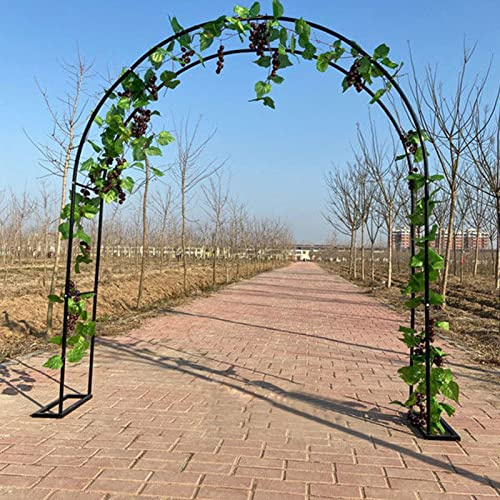 SDdPulse Arco de jardín de entrada, arco de rosas independiente, pérgola trepadora de plantas, cenador de arco de fiesta de boda, para interiores y exteriores, varias vides de plantas trepadoras (rosa