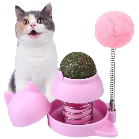 Katzenminzenball – rotierende Katzenminzblasen, Blasen zum Lecken