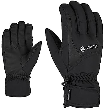 Ziener Erwachsene GARWEN GTX Ski-Handschuhe/Wintersport | Wasserdicht, Atmungsaktiv, Gore-tex, Black, 9
